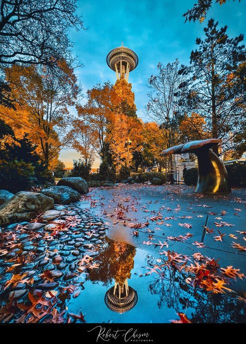 Space Needle Reflection pt.7