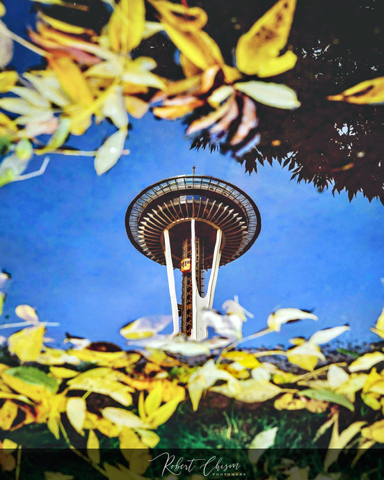 Space Needle Reflection pt.6