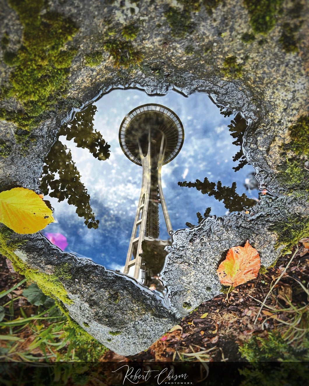 Space Needle Reflection pt.4