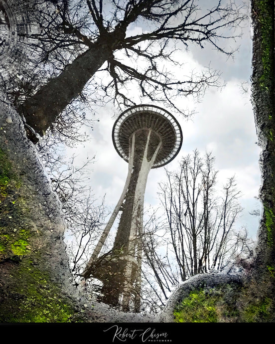 Space Needle Reflection pt.1